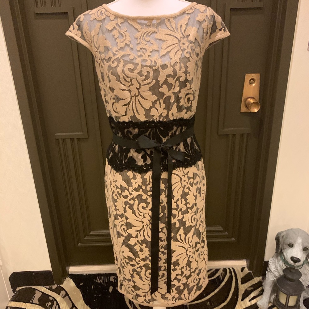 Tadashi Shoji Lace Dress 10 NWT